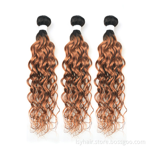 T1B/30  Italian Water Wave Curly Human Hair Sew In Extensions With Closure, Brazilian Hair Piece Product In China For Sale